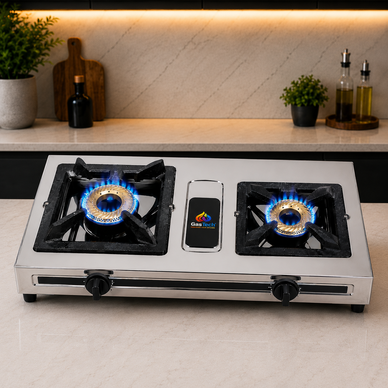 Majestic Double Burner Gas Stove